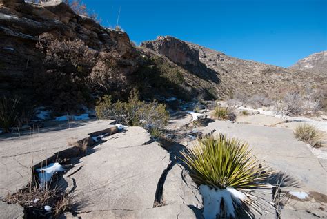 McKittrick Canyon Trail | I originally wanted to climb the G… | Flickr