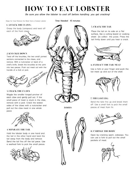 How To Eat Lobster (Beginner Friendly Guide)