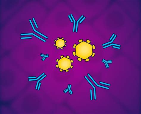 Best Immunology Courses & Certifications [2023] | Coursera Online Learning