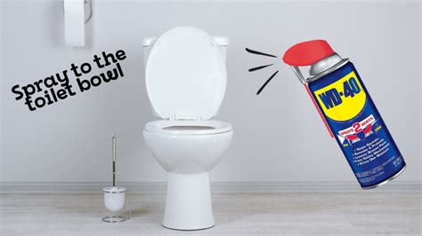 WD 40 to Clean Toilet Really ??? Checkout What We Discovered