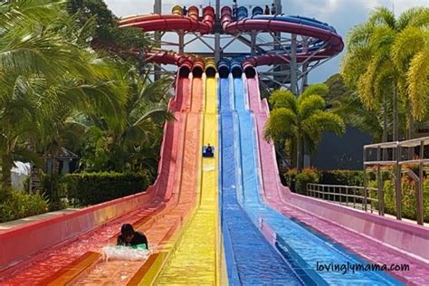 Aqua Planet Water Park Philippines: All-Day Fun for the Whole Family | Water theme park, Water ...