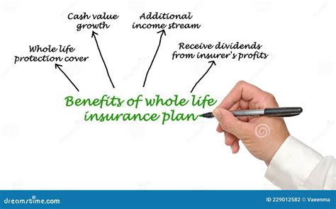 Benefits of Whole Life Insurance Plan Stock Illustration - Illustration of profits, diagram ...