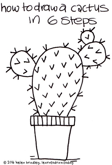 Learn to Draw a Cactus in 6 Steps : Learn To Draw