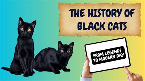 From Ancient Myths to Present: Untold Black Cat Stories - YouTube