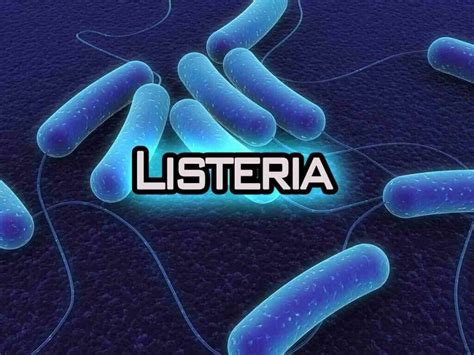 Listeria: 10 Listeria Symptoms