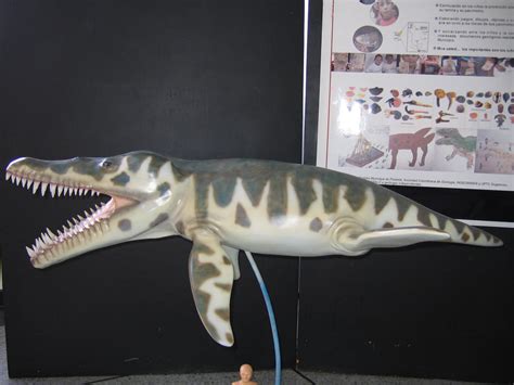 Pliosaur sculpture by jwmorenob on DeviantArt