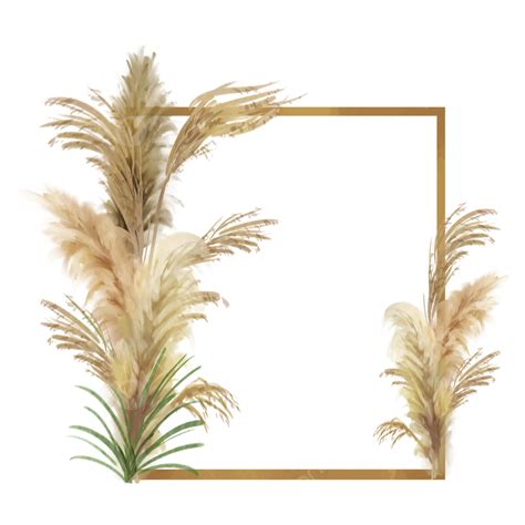 Pampa Grass PNG Picture, Pampas Grass Wedding Watercolor Botanical Border, Pampas Grass, Wedding ...