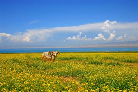 Qinghai Province – Chinafolio