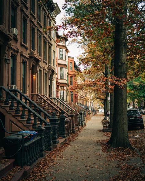 Beautiful Brownstones and Autumn Color, Bedford-Stuyvesant, Brooklyn ...