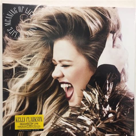 Kelly Clarkson : Meaning Of Life - LP | Bontonland.cz