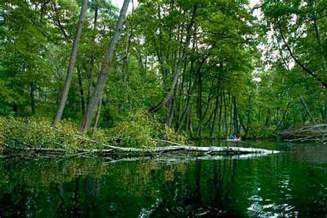 Canoeing the Drawa River - Eko-tourist