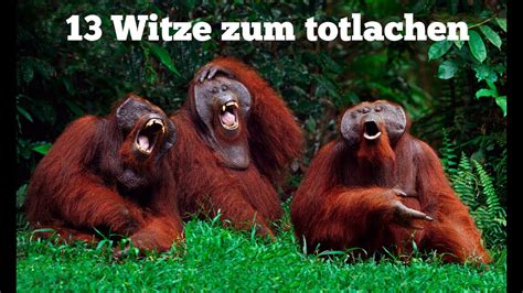 Frauen schön: Die besten witze zum totlachen