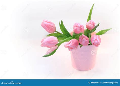 Beautiful Pink Tulips in the Vase Stock Photo - Image of blossom, bouquet: 28866094