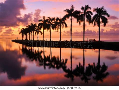 Sunrise Cutler Bay Near Miami Florida Stock Photo (Edit Now) 156889565