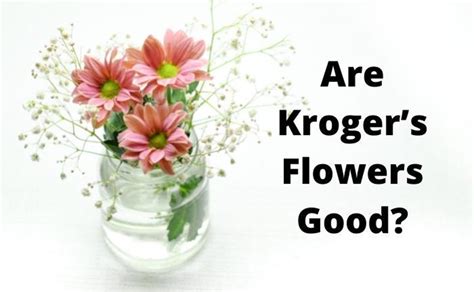 Are Kroger Flowers Good? Here Are Some Detail You Need to Know - Foodsalternative