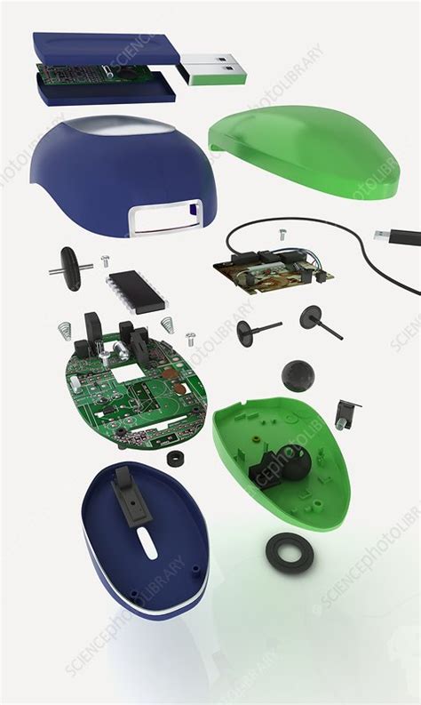 Mechanical Mouse Parts With Names