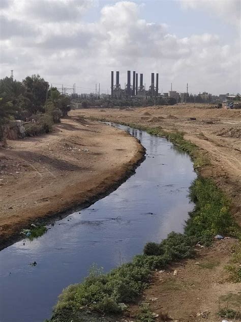 UN breathes life into once-polluted Gaza wetland | We For Gaza