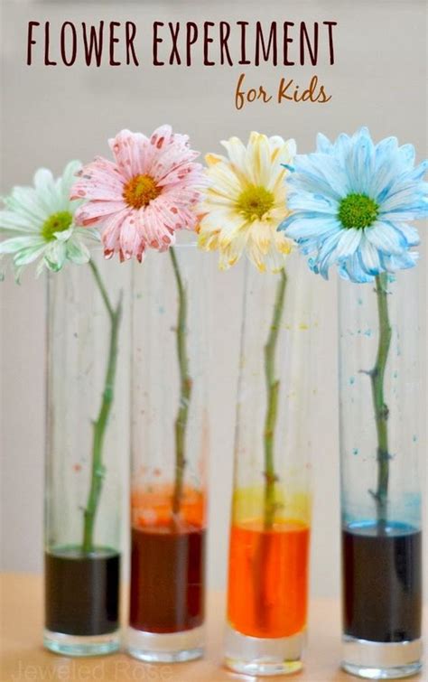 Easy & Cool Science Experiments For Kids - Hative