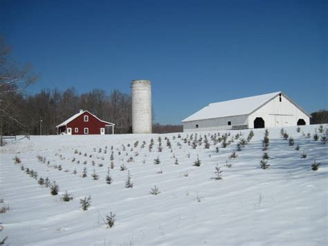 Claybrooke Farm | Virginia Christmas Tree Growers Association