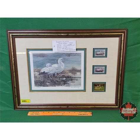 Framed Canadian Wildlife Conservation 1994 (Print is Limited Edition ...