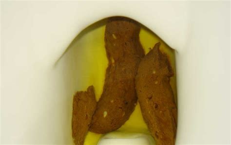 I Poo Daily: Big fat Poops!!