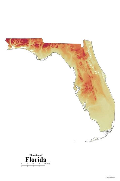 Florida Elevation Map | Printable Maps