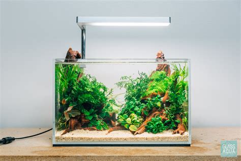 Betta Fish Tanks With Plants