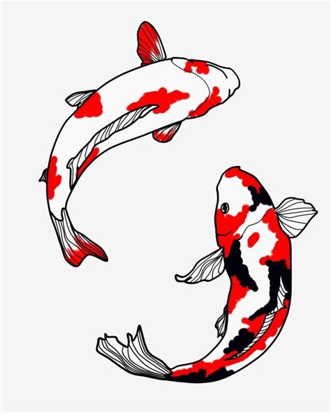 Koi Clipart Vector, Two Koi Illustration Red Koi Koi, Red And Black Koi, Koi, Fish PNG Image For ...