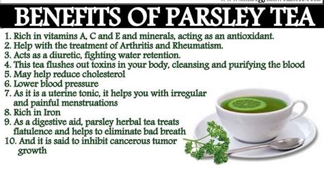 Lindsay Is A Lifetime Member: Parsley Tea