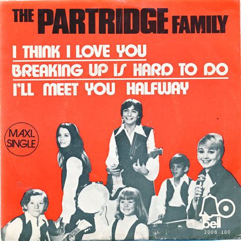 The Partridge Family – I Think I Love You (1972, Vinyl) - Discogs