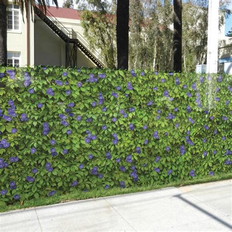 FenceScreen Purple Morning Glory Purple Morning Glory Graphic Chain ...