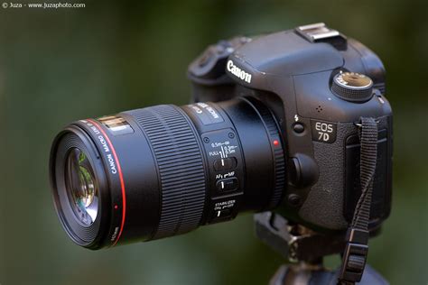 Canon 100mm Macro L IS USM Review | JuzaPhoto