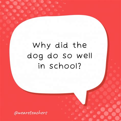 50 School Jokes for Kids Who Want To LOL