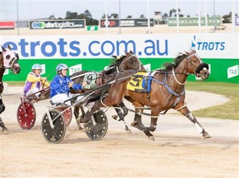 New Zealand Trotting Cup Tips 2020 | Expert Preview & Predictions