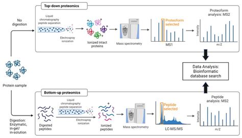 Molecules | Free Full-Text | Applications of Tandem Mass Spectrometry ...