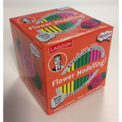 Plasticine Modelling Flowers Kit - Kids Creativity from Crafty Arts UK