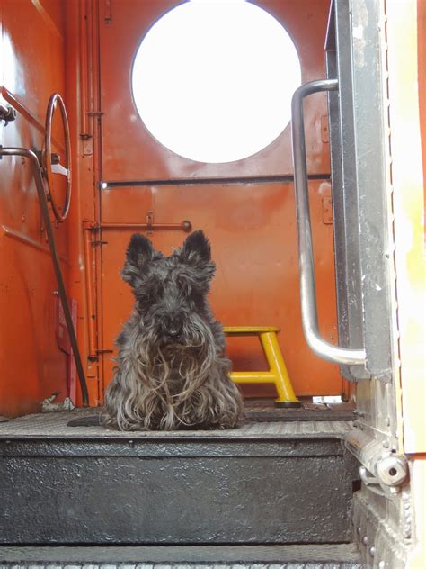 THE ROAD TAKEN : Vanderbilt Private Rail Car, Old Blue Eyes, and A Dream Holiday