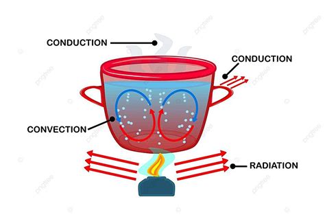 Heat Transfer Convection Currents Labeled Diagram Education Concept Chemistry Vector, Education ...