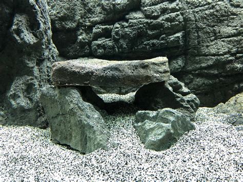 Aquarium, Reptile Rock Products | Universal Rocks