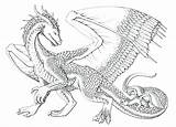 Cute Dragon Coloring Pages To Print sketch template