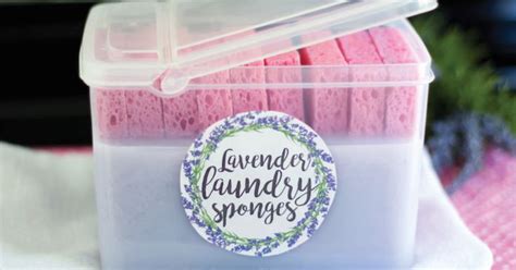 Laundry Sponges | Laundry soap homemade, Homemade laundry, Diy cleaning ...