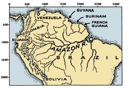 Amazon River Basin Climate & Geography | What is the Amazon River Basin? - Video & Lesson ...