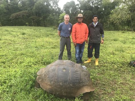 Giant Tortoise Conservation in the Galapagos