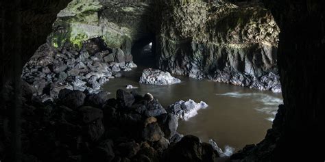 Sea Lion Caves - Oregon Coast Visitors Association