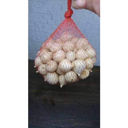 Jual Bawang Putih Tunggal 1 kg | Shopee Indonesia