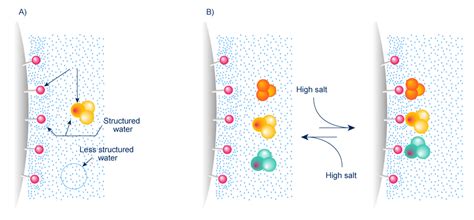 Analysis & purification of proteins: HIC, the separation of molecules ...