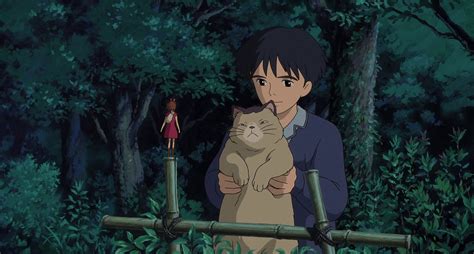 Download Arrietty Sho And Cat Wallpaper | Wallpapers.com