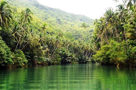 Exploring Bohol: Cruising the Loboc River