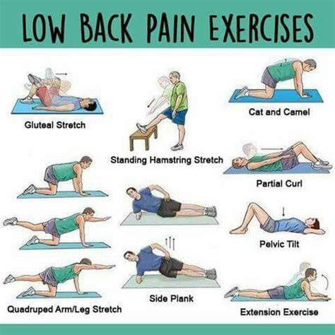 Exercises For Tight Hamstrings And Lower Back - Exercise Poster