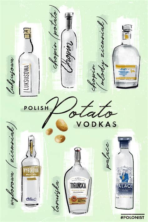 Beginner’s Guide to Polish Vodka [Best Brands!] - Polonist